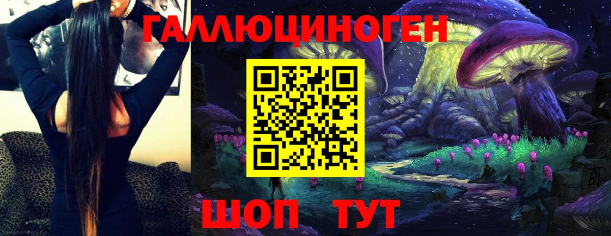 Галлюциногенные грибы Psilocybine cubensis Фурманов