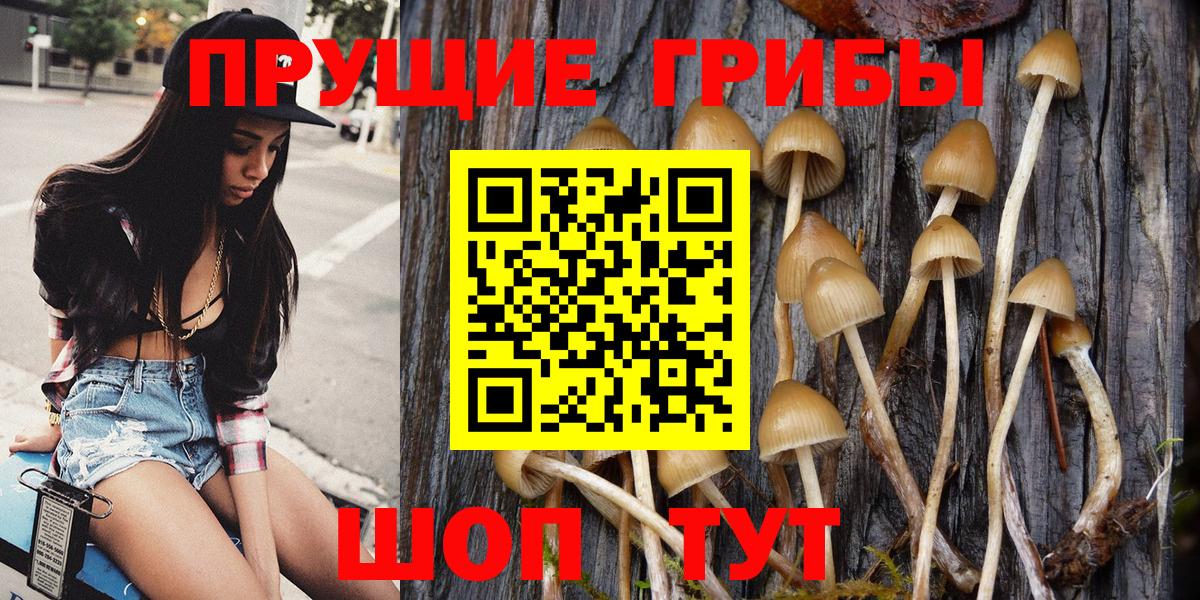 Псилоцибиновые грибы прущие грибы  Галлюциногенные грибы прущие грибы  Вход с VPN  Фурманов 